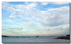 dailyPhoto4
